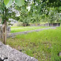 253 متر زمین مسکونی روستایی در اطراف رضوانشهر|فروش زمین و ملک کلنگی|رضوانشهر, |دیوار