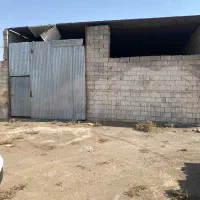 سوله سرپوشیده مناسب دامداری ، پرورش انواع حیوان|اجارهٔ دفتر صنعتی، کشاورزی، تجاری|سبزوار, قصبه شرقی|دیوار