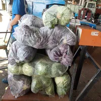 کارگر میدان میوه تره بار مرکزی تهران|استخدام خدمات فروشگاه و رستوران|تهران, میدان میوه و ترهبار مرکزی|دیوار