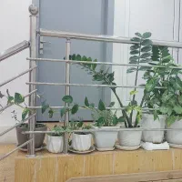اجاره اتاق کلینیک