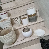 گلدان|گل و گیاه طبیعی|پاکدشت, پاکدشت (مامازند)|دیوار