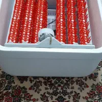 دستگاه جوجه کشی