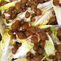 حلزون آلبینو گوشت سفید|خزنده|پردیس, |دیوار