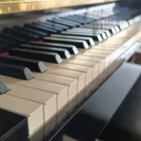 ارگ کیبورد همه مدل1218