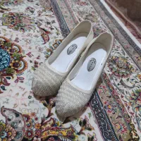 کفش مجلسی