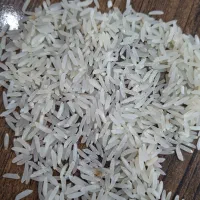 برنج فجرسوزنی ودم سیاه به شرط پخت