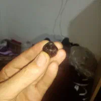 سنگ راف طبیعی قرمز تیره|کلکسیون اشیاء عتیقه|مشهد, الهیه|دیوار