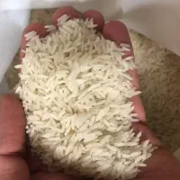 برنج هاشمی درجه یک