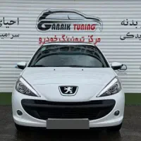 ۲۰۷ پانا دنده ای ۱۴۰۳