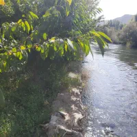 فروش باغ میوه باغبهادران روستای پرکستان|فروش زمین و ملک کلنگی|باغ بهادران, |دیوار