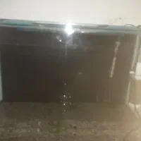 اکواریوم شیشه خم شرکتی