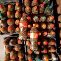 خیارشور سوپر ویژه درجه یک