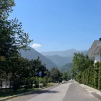 ۱۰۰۰ متر زمین خاص در بهترین کوچه چهارصد دستگاه