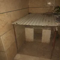 قفس سقف دار مرغ و کبوتر