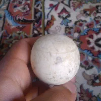 الماس اسیاب|جواهرات|بروجرد, |دیوار