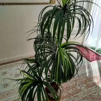 گل مصنوعی