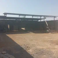 اجاره-گله-دانی