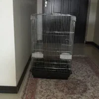 قفس پرنده