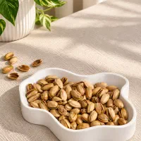 انواع شیپ های سنگ مصنوعی