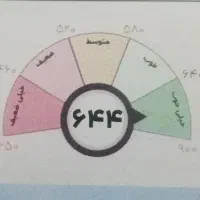 ضامن با رتبه اعتباری A و چک دیجیتال