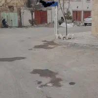 زمین-فاز2-2-کله