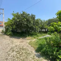 فروش و تهاتر زمین 285متر باپروانه ساخت جاده نظامی|فروش زمین و ملک کلنگی|قائم‌شهر, |دیوار