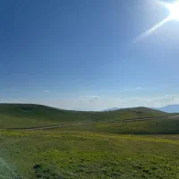 سرمایه گذار / سرمایه گذاری