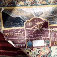 فرش۱۲ متری ۷۰۰شانه۵۵۰تراکم نگین طلایی کاشان اصل|فرش|مشهد, تبادکان|دیوار
