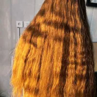 خریدار اصلی خرید فروش مو رحیمی  خام رنگی میخرم