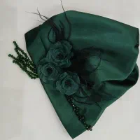 توربان مجلسی