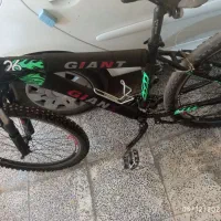 دوچرخه ویوا ۲۶|دوچرخه، اسکیت، اسکوتر|صدرا-فارس, فاز ۲|دیوار