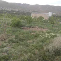 باغ