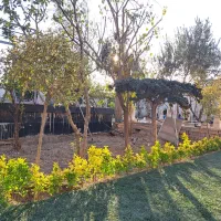 اجاره ویلا در خ امام خمینی