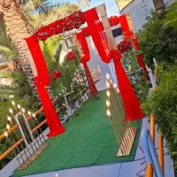 دیجی وتزیین ماشین عروس