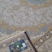 فرش مشهد ۱۲ متری نو|فرش|قوچان, |دیوار