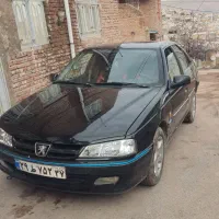 پارس مشکی. رش