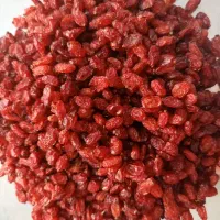 زرشک اعلا درجه 1