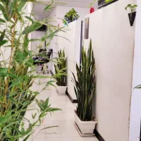 استخدام نیرو آبدارچی و نظافتچی
