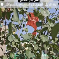 تور زیارتی کربلا و نجف با اقامت هتل