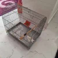 سهره قفس قناری