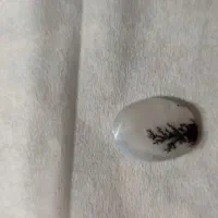 سنگ شجر قائن طبیعی|جواهرات|کرمانشاه, |دیوار