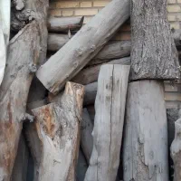 هیزم برای دورهمی وشومینه