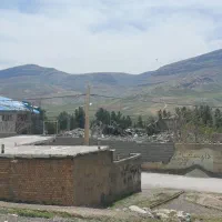 هدیه نقدی میلی گلد