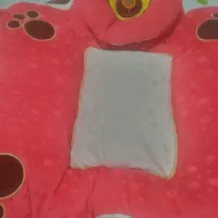 تشک وپتوبچه