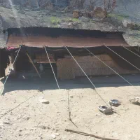 سیاه چادر فروشی