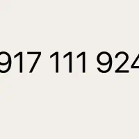 09171119241