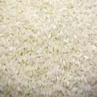 برنج چمپا درجه یک با طعم بو تضمینی