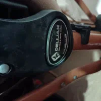 کالسکه دلیجان در حد نو