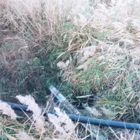 اجاره زمین کشاورزی به جاده اصلی زنجان نیک پی|اجارهٔ دفتر صنعتی، کشاورزی، تجاری|زنجانرود, |دیوار