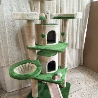 اسکرچر درخت گربه